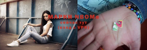 2c-b Ельня