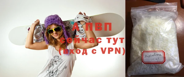 2c-b Ельня
