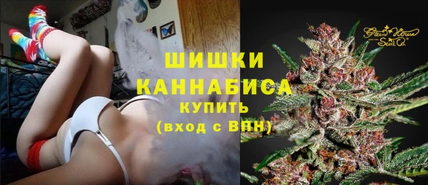 2c-b Ельня