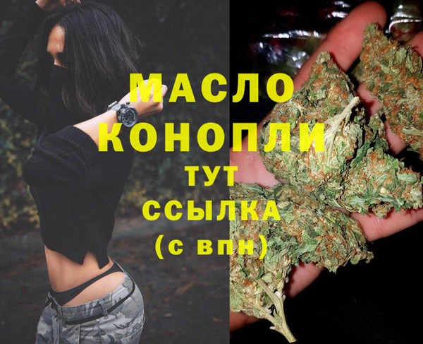2c-b Ельня