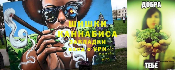 2c-b Ельня