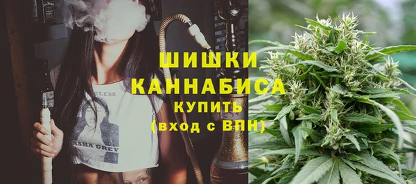 2c-b Ельня