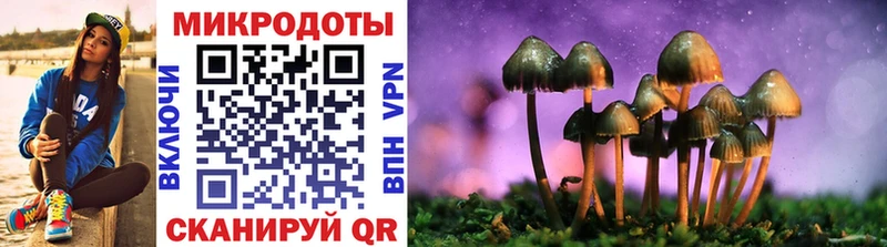 Галлюциногенные грибы Psilocybe  наркошоп  Карабаш 